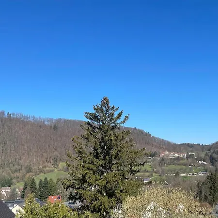 Hotel Hotel Markgraefler Hof Badenweiler