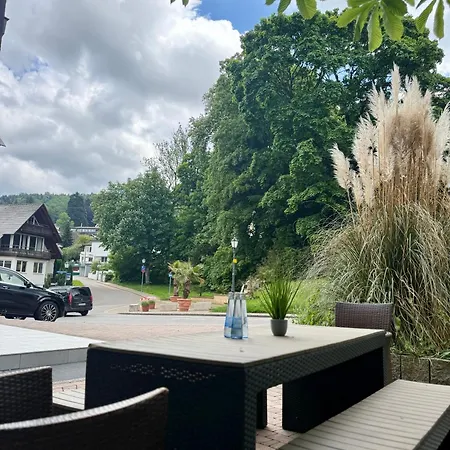 Hotel Hotel Markgraefler Hof