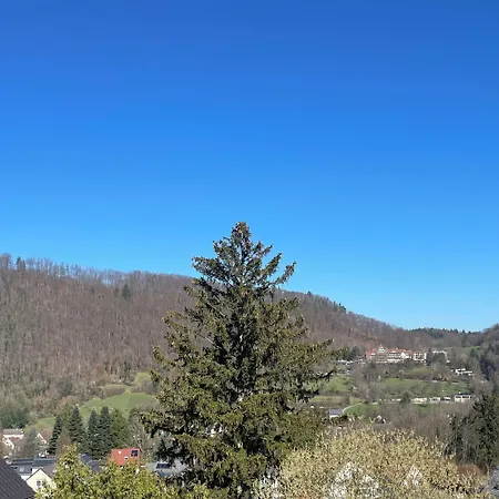 Markgräfler Hof 3* Badenweiler